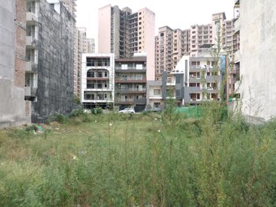 Phase 1 Plot View 2