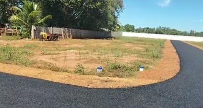 Residential Plot
