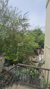 Image of 10000 Sq.ft Residential Plot / Land for sale in Walajapet, Ranipet for Rs. 10000000