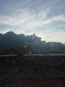 Amazon Heights Plot View 2