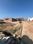 RBC Happy Homes Sector 115 Mohali Plot View 2