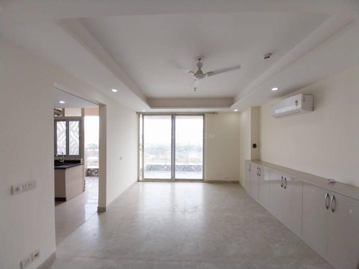 Solutrean Caladium Main Image 1