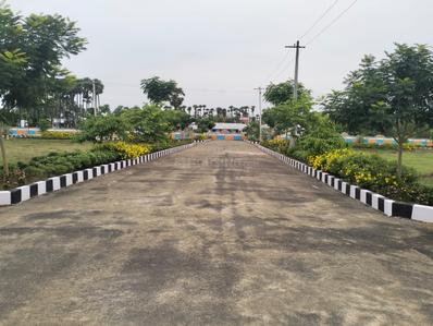 Thagarapuvalasa Plot View 1