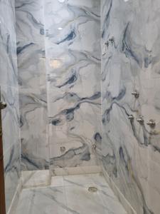 Common Bathroom Image of 2250 Sq.ft 2 BHK Apartment / Flat for sale in Uttam Nagar New Delhi for Rs. 3800000