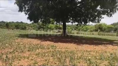 Image of 53240 Sq.ft Residential Plot / Land for sale in Aroodi, Bengaluru for Rs. 120000000