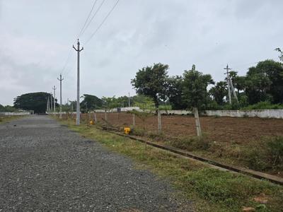 Residential Plot