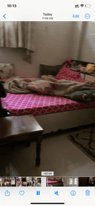Image of 600 Sq.ft 1 BHK Builder Floor for rent in Sector 17, Gurgaon for Rs. 28000