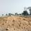 OMR The Vanshivat Farms Main Image 1