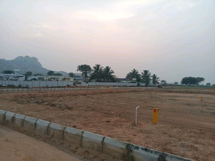 SGD 4 city Main Image 1