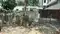 Block D Main Image 1