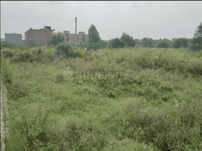 Image of 1800 Sq.ft 4 BHK Independent House for sale in New Chandigarh, Chandigarh for Rs. 28000000