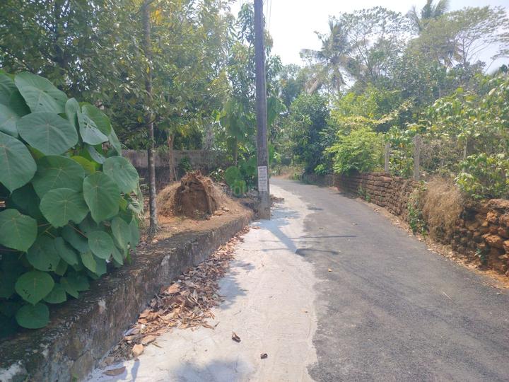 keralarealty Main Image 1