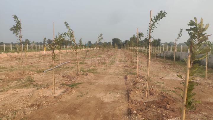 Chinthapally Main Image 1