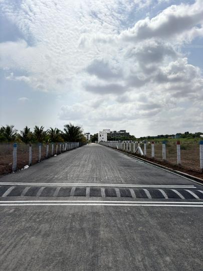 Kalapatti Main Image 1