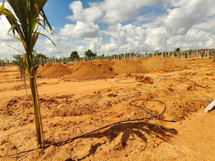 Keesara Main Image 1