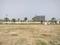 Sector 84 Plot View 1