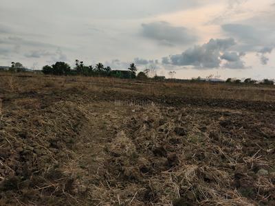 Residential Plot