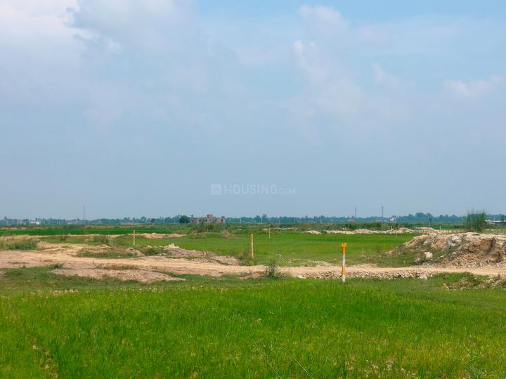 Shivlok dhoi donar road Darbhanga Main Image 1