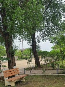 Image of 1800 Sq.ft Residential Plot / Land for sale in Serikhedi, Raipur for Rs. 4680000