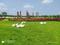 Swathi Luckie Township Phase 3 Main Image 1