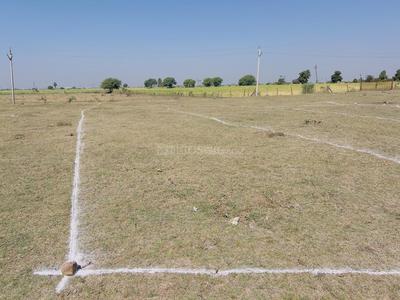 Siwaniya Omkara Ayodhya Plot View 1