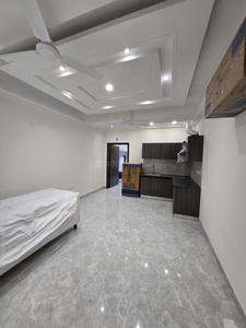 Hall Image of 1350 Sq.ft 1 BHK Builder Floor for rent in DLF Phase 3 Gurgaon for Rs. 40000