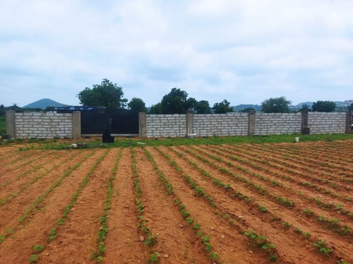 Hospete Main Image 1