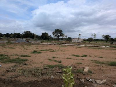 Open plot kothur Plot View 1