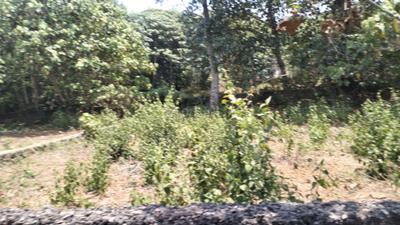 Image of 2400 Sq.ft Residential Plot / Land for sale in Thiruvaniyoor, Kochi for Rs. 425000
