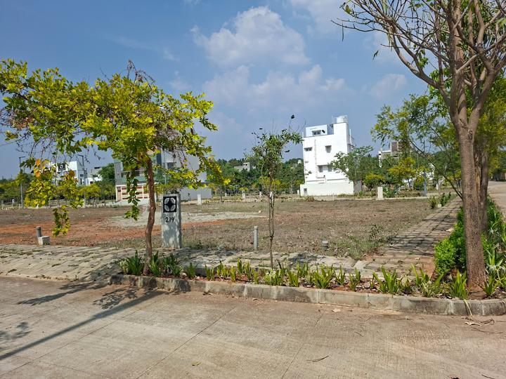 BVL Premio Phase 2 Main Image 1