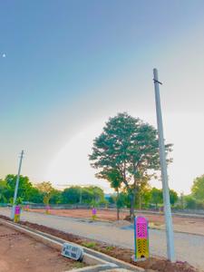 Image of 1000 Sq.ft Residential Plot / Land for sale in Thoor, Udaipur for Rs. 2850000