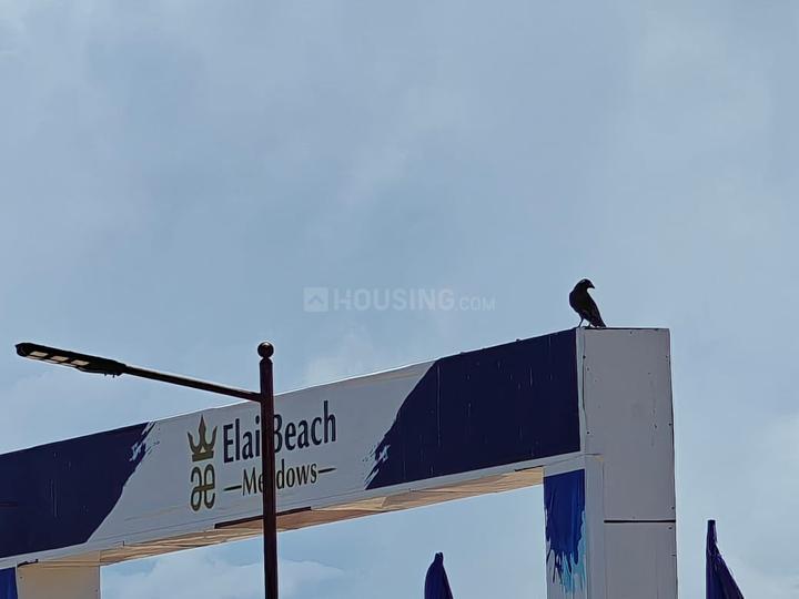 Elai beach Meadows  Main Image 1