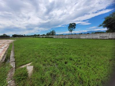 Icon Home Phase 1 Plot View 2