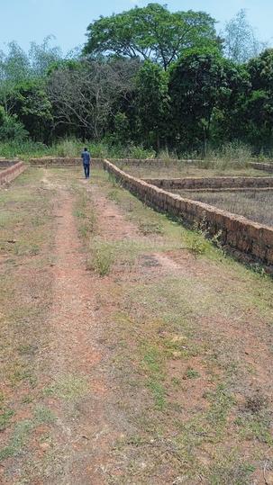 Hansapal, Balianta Main Image 1