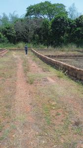 Hansapal Plot View 1