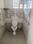 Sector 7, HSR Layout Bathroom 1