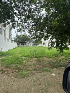 Residential Plot