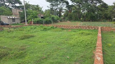 Image of 4000 Sq.ft Residential Plot / Land for sale in Khandagiri, Bhubaneswar for Rs. 28000000