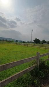 Mountain View Karjat Plot View 1