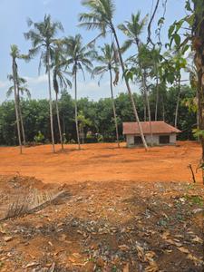 Image of 76176 Sq.ft Residential Plot / Land for sale in Kanjirappally, Kottayam for Rs. 26250000