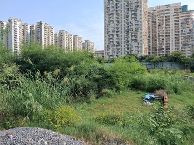 Image of 900 Sq.ft Residential Plot / Land for sale in Sector 76, Noida for Rs. 17500000