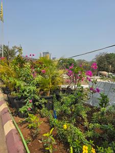 Wadhwa Wise City Main Image 1