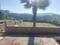 Jamoliwala, Bhagwant Pur Main Image 1