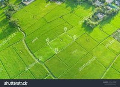 Residential Plot