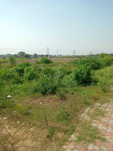 Image of 120 Sq.ft Residential Plot / Land for sale in YEIDA Individual Residential Plots, Yeida, Greater Noida for Rs. 6250000