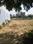 vatika india next plot sector 83 gurgaon Main Image 1