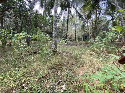 Image of 13066 Sq.ft Residential Plot / Land for sale in Feroke, Kozhikode for Rs. 8900000
