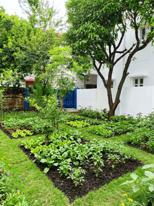 Image of 3500 Sq.ft 7 BHK Independent House for sale in Rajender Nagar, Dehradun for Rs. 105500000