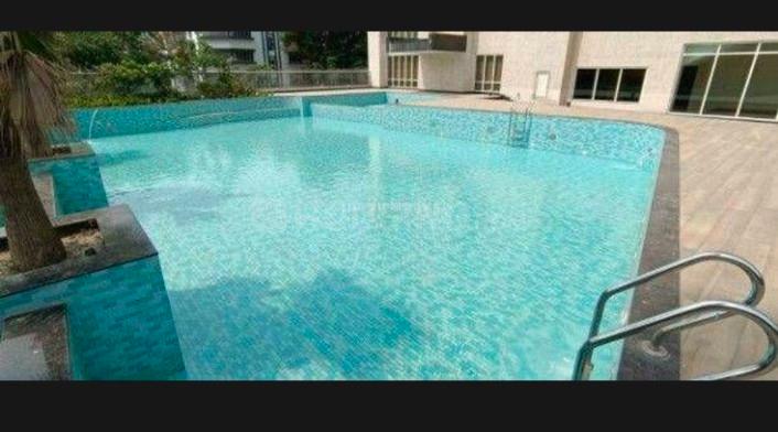 Ideal Exotica Main Image 1