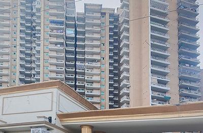 Image of Migsun wynne in Eta II, Greater Noida